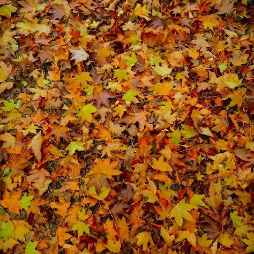 رضا صادقی تو نبودی زندگی قصه جذابی نبود